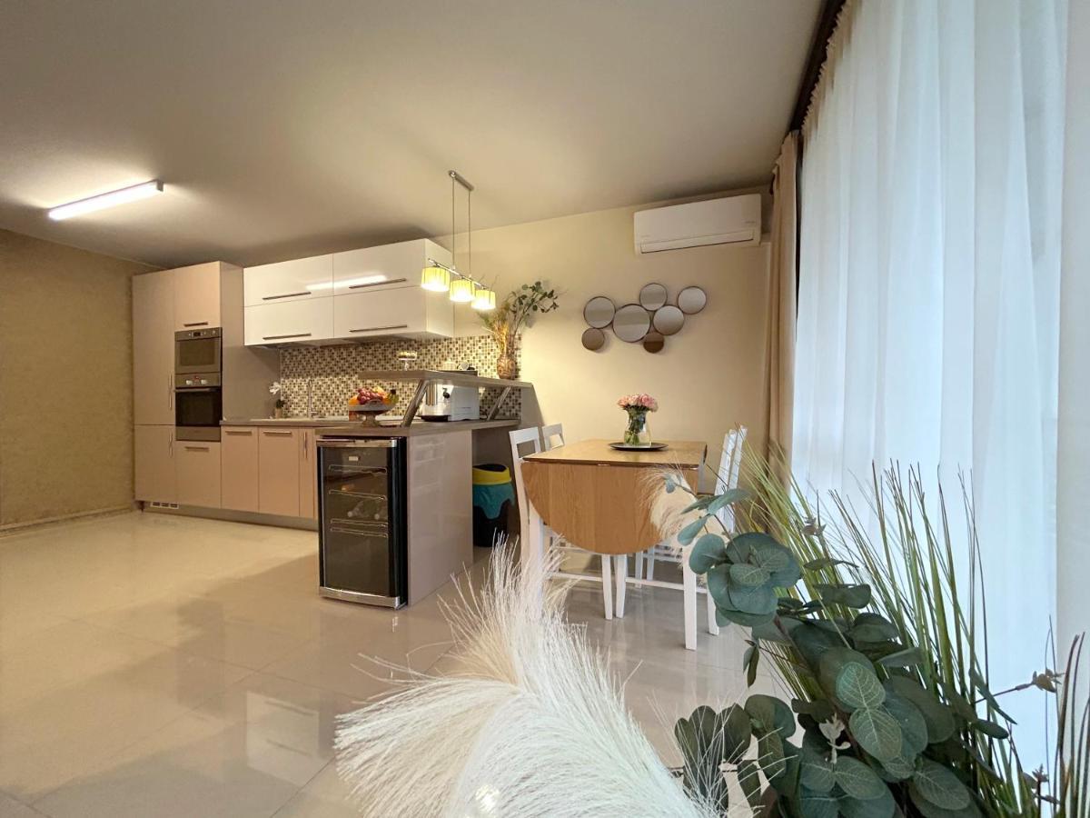 Thea Apartment 蒂米什瓦拉 外观 照片