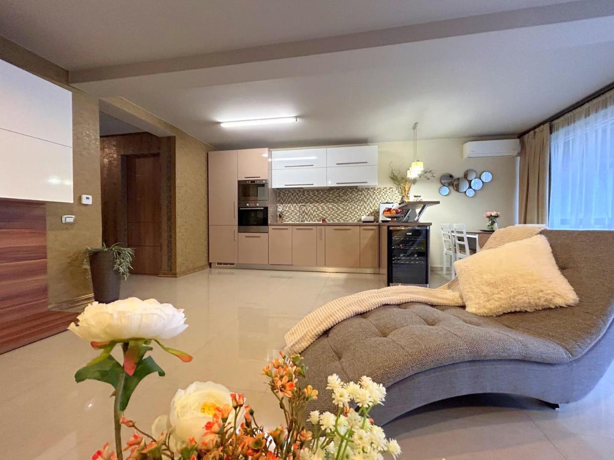 Thea Apartment 蒂米什瓦拉 外观 照片
